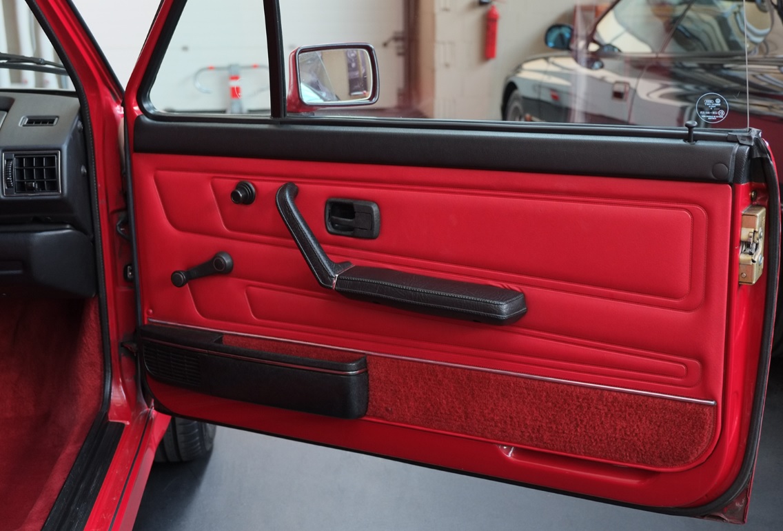 TZ door panel